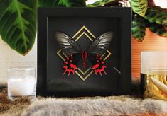 a black and red butterfly in a frame next to some glasses