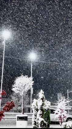 the street lights are covered in snow at night