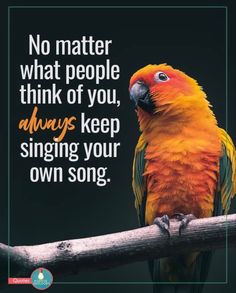 a parrot sitting on top of a tree branch with a quote above it that says no matter what people think of you, always keep singing your own song