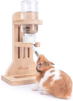 a brown and white hamster is looking at a small wooden grinder on a stand