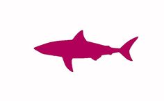 a pink shark silhouette on a white background