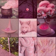 a collage of photos with pink hats and other things in them, including flowers