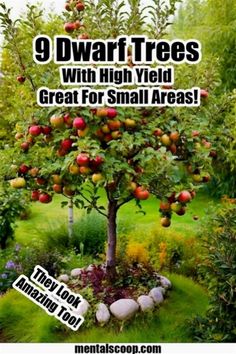 Woodland Food, Cockle Shells, Garden Woodland, Gardening Tricks, Growing Trees, Family Homestead, Homestead Gardens, Victory Garden, Farm Ideas