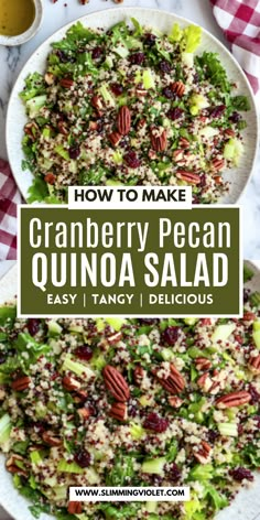 an image of a salad with cranberry pecan quinoa