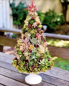 a small christmas tree made out of succulents on top of a wooden table