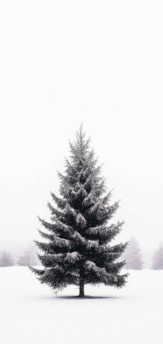 100+ Minimalist Christmas Wallpapers To Deck Your iPhone With Simplicity Wintry Wallpaper, Phone Backgrounds Winter, Boho Christmas Wallpaper Iphone, Winter Nature Wallpaper, Christmas Wallpaper Minimalist, Minimal Christmas Wallpaper, Christmas Aesthetic White, December Wallpaper Aesthetic, White Christmas Wallpaper