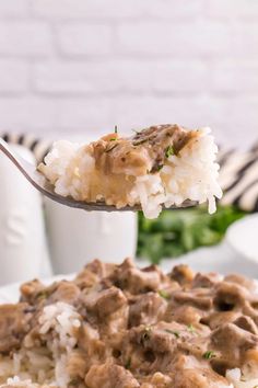 a spoon full of rice with meat and gravy on it is being held by a fork