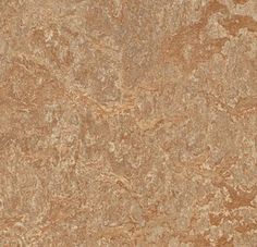 Forbo Marmoleum Modular Marble FORMMMT3407 Donkey Island 19.69 x 19.69 Linoleum Tile Flooring Linoleum Flooring Kitchen, Marmoleum Floors, Forbo Marmoleum, Modular Tile, Flooring Kitchen, Water Resistant Flooring, Nurses Station, Natural Stone Flooring, Linoleum Flooring