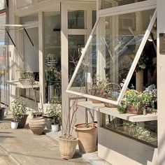 several potted plants are sitting in front of a store window with glass panes