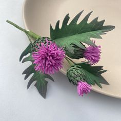 two purple flowers sitting on top of a white plate