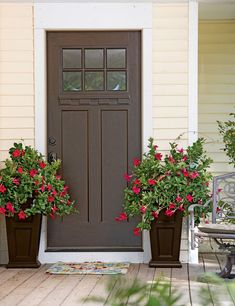 two potted plants are sitting on the front porch