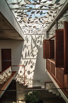 the shadow of leaves on the ceiling is cast onto the wall