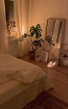 a bedroom with a bed, mirror and plants on the floor in front of it