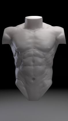 a white sculpture is shown with no shirt on it's chest and arms are visible