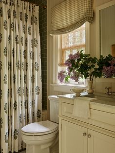 a white toilet sitting next to a window in a bathroom