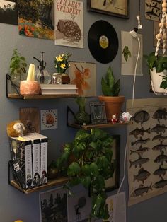 there are many plants and pictures on the wall