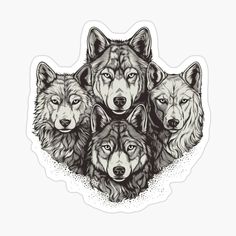 four wolfs with their heads in the shape of a circle on a white background