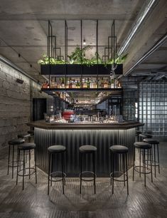 a bar with stools and plants hanging from the ceiling