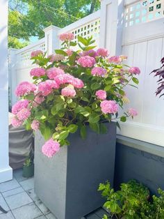 a planter with pink flowers in it on the side of a house