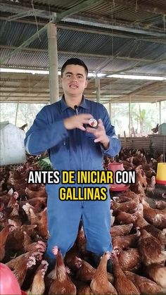 a man standing in front of a bunch of chickens with the caption antes de inciar con galinas