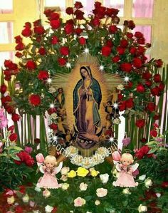 an image of the virgin mary surrounded by flowers