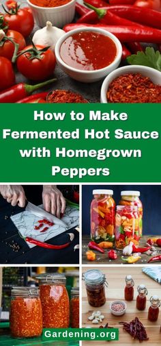 how to make fermented hot sauce with homegrown peppers by gardening org