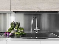 a stainless steel kitchen with flowers on the counter top and an overhead faucet