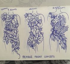 three drawings of different types of flowers and birds on white paper with blue marker writing