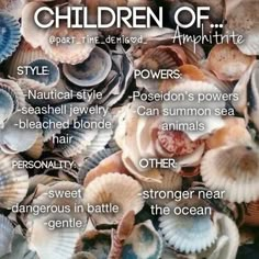 there are many different types of seashells in the ocean