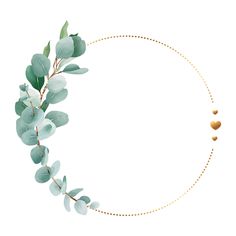 eucalyptus leaves and gold hearts arranged in a circle on a white background with space for text