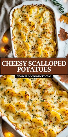 cheesy scalloped potatoes in a casserole dish