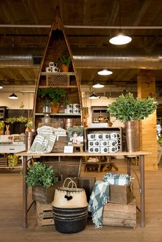 a room filled with lots of different types of furniture and plants on top of it