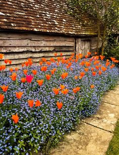 many different colored flowers in front of a wooden building