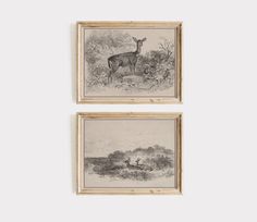 two framed paintings depicting deer and antelope