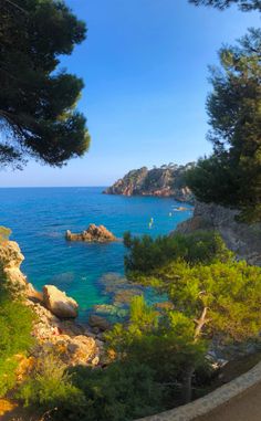 an ocean view with trees and rocks in the foreground