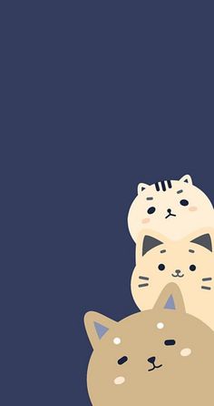 two cats sitting on top of each other in front of a dark blue background,