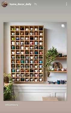 a shelf filled with lots of pots and plants on top of a white counter next to a potted plant