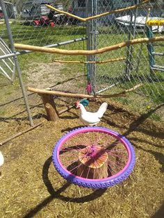 there is a chicken standing next to a wheel on the ground in an enclosed area