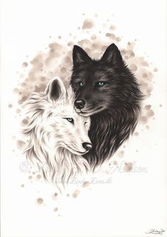 two black and white wolfs with blue eyes are facing each other in front of water droplets