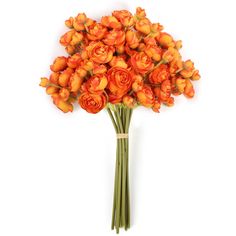 a bouquet of orange flowers on a white background