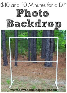 a photo frame with trees in the background and text overlay that reads $ 10 and 10 minutes for a diy photo backdrop