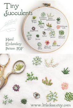 cross - stitch pattern for tiny succulents in the hoop with scissors and thread