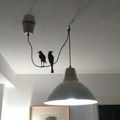 two birds are sitting on a light fixture in a room with white walls and flooring