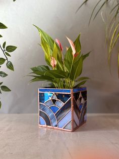 a potted plant sitting on top of a table next to a green leafy plant