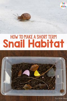 an image of a snail habitat with the title how to make a short term snail habitat