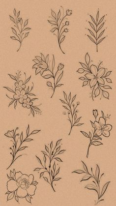 a bunch of flowers that are drawn on paper