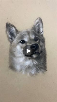 a drawing of a dog's face is shown in the middle of this video