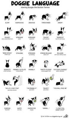 the dogue language chart is shown in black and white