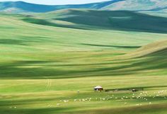 a herd of sheep grazing on a lush green hillside with mountains in the backgroud