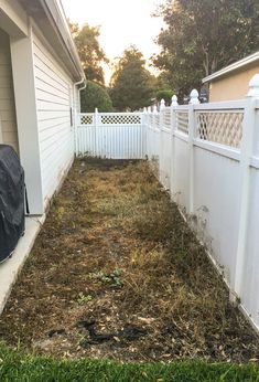 a yard with grass and weeds next to a white fence